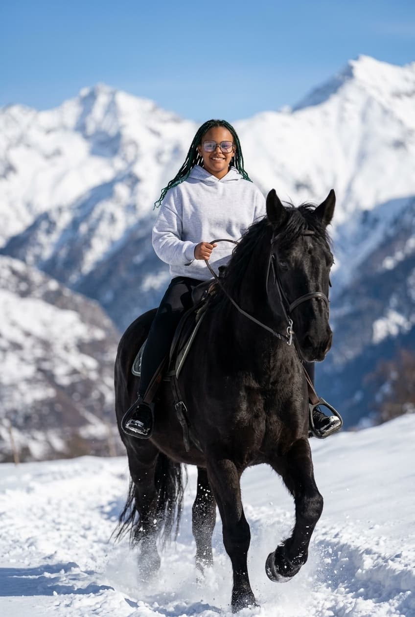 Majestic Black Horse Portrait