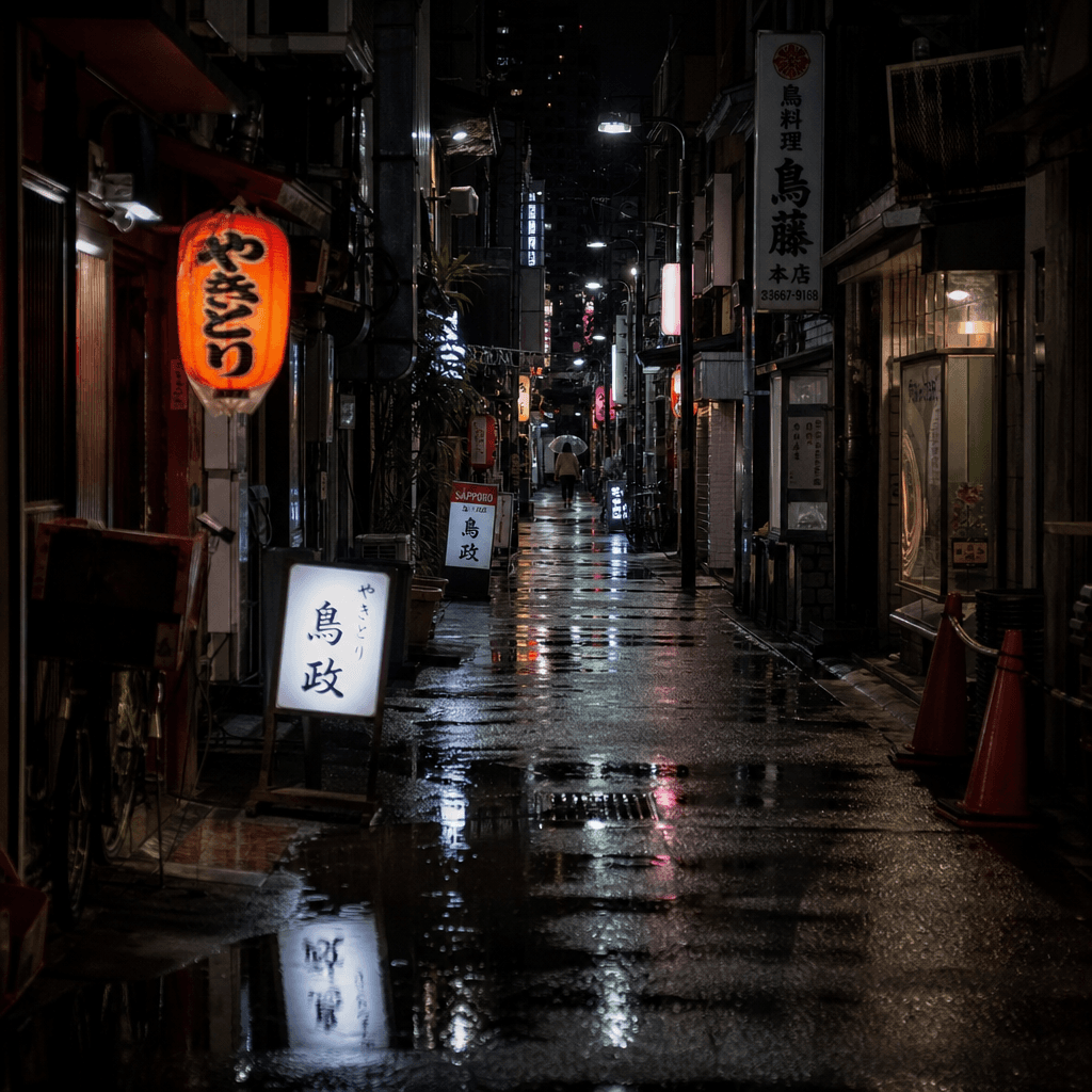 Tokyo Alley After Rain