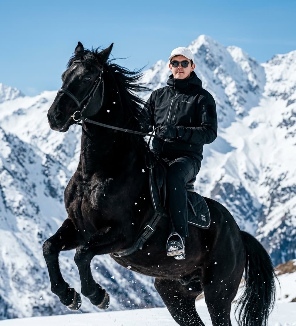 Majestic Black Horse Portrait