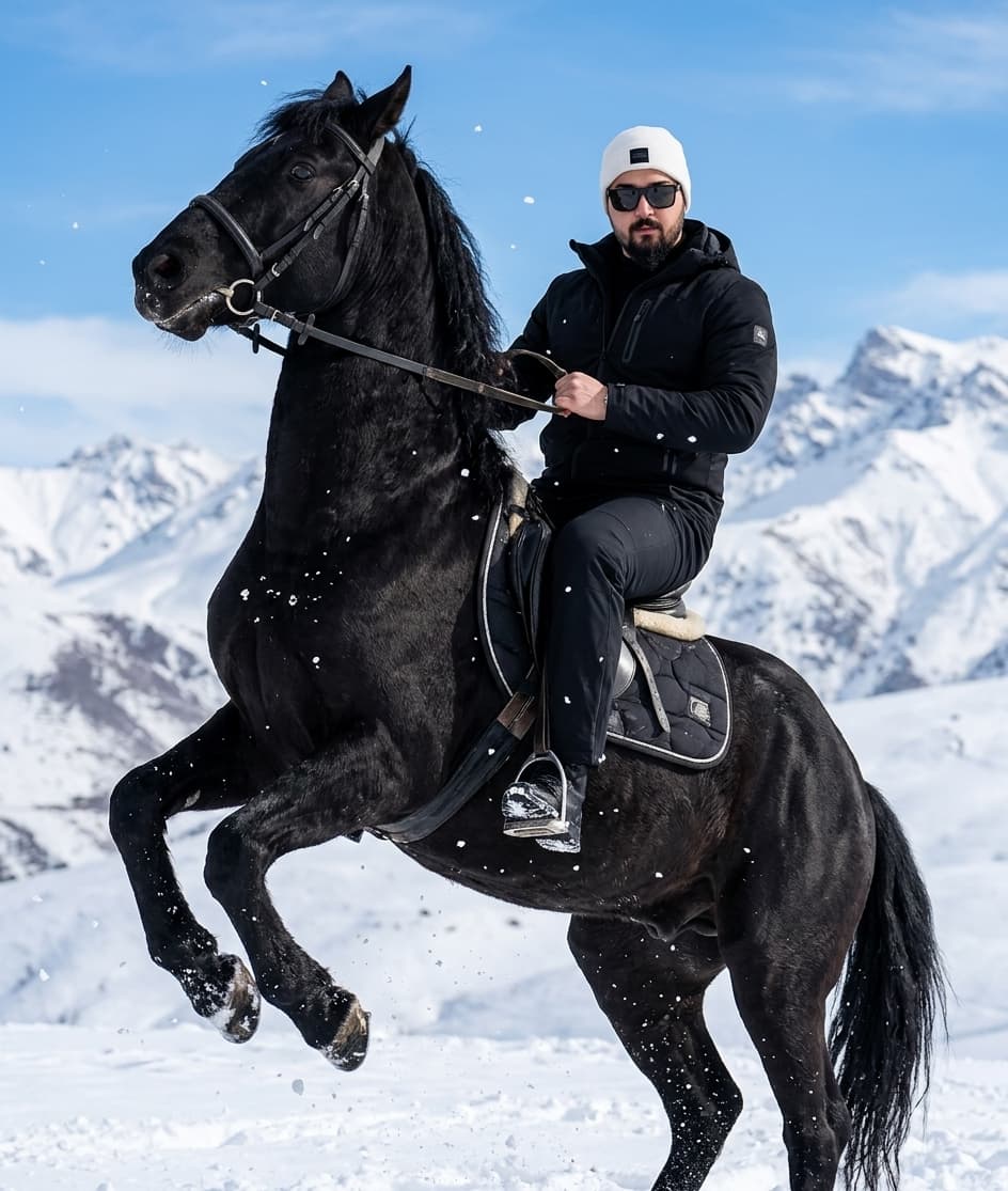 Majestic Black Horse Portrait