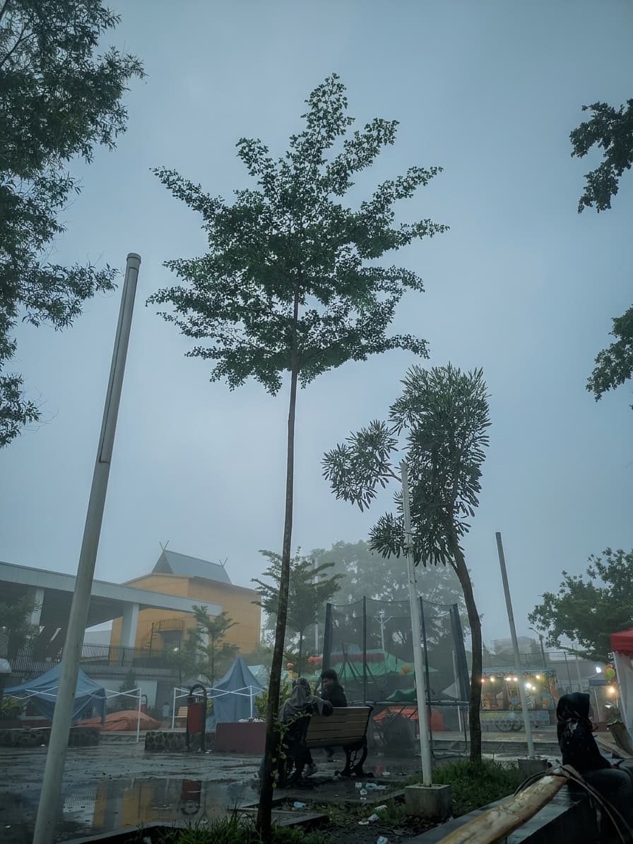 Foggy Forest Cinematic Photo