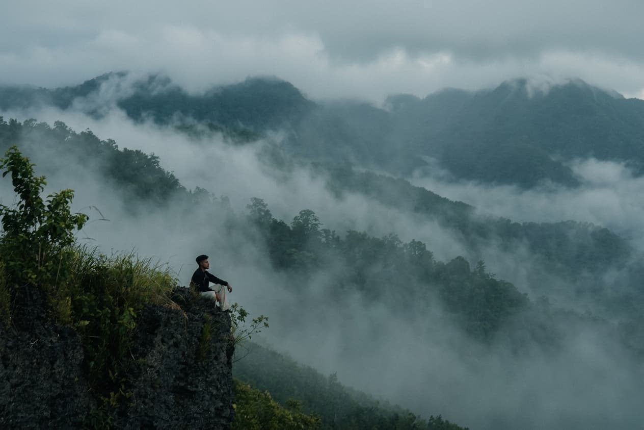 Foggy Forest Cinematic Photo