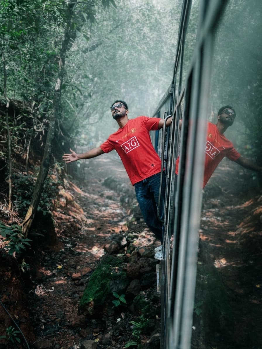 Foggy Forest Cinematic Photo