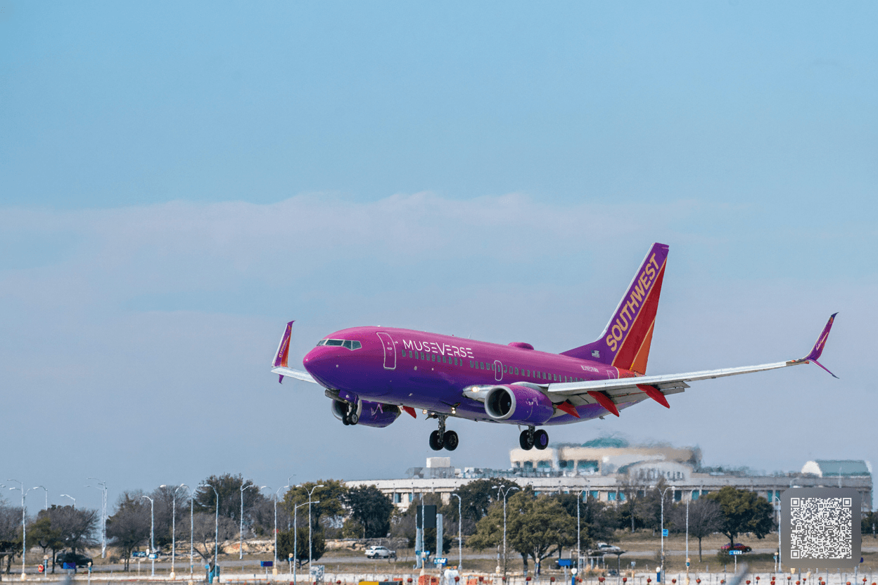 Airplane Livery Design